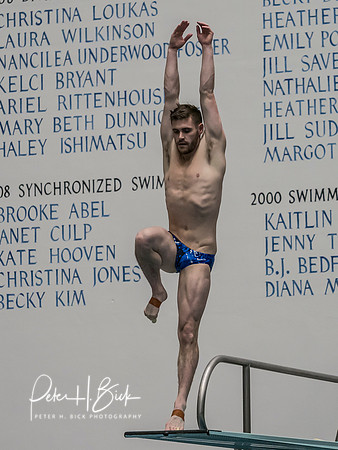 david-boudia-2019 Sr. Nats. 0067