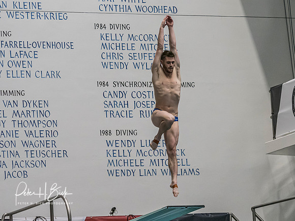 david-boudia-2019 Sr. Nats. 0110