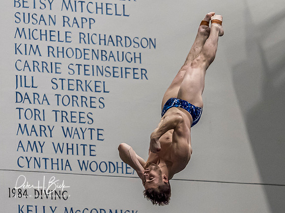 david-boudia-2019 Sr. Nats. 0137