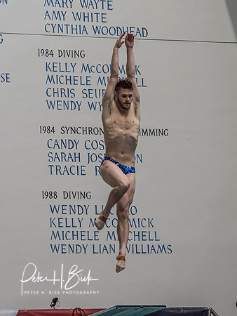 david-boudia-2019 Sr. Nats. 0159