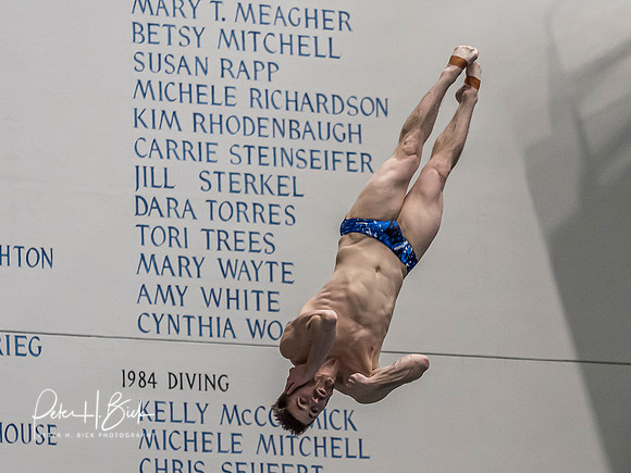 david-boudia-2019 Sr. Nats. 0168
