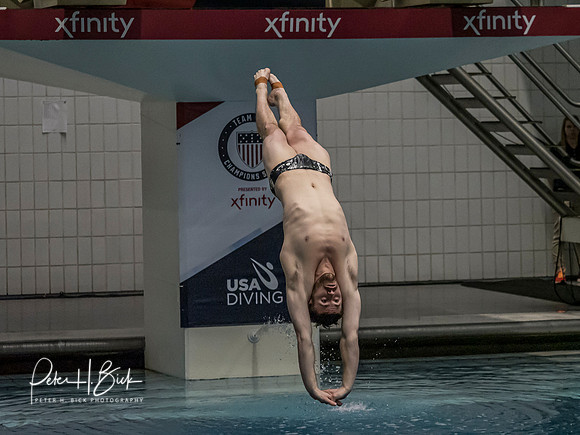 david-boudia-2019 Sr. Nats. 1589