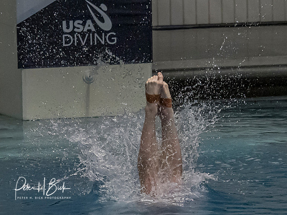david-boudia-2019 Sr. Nats. 1592