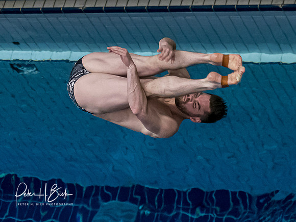 david-boudia-2019 Sr. Nats. 1741