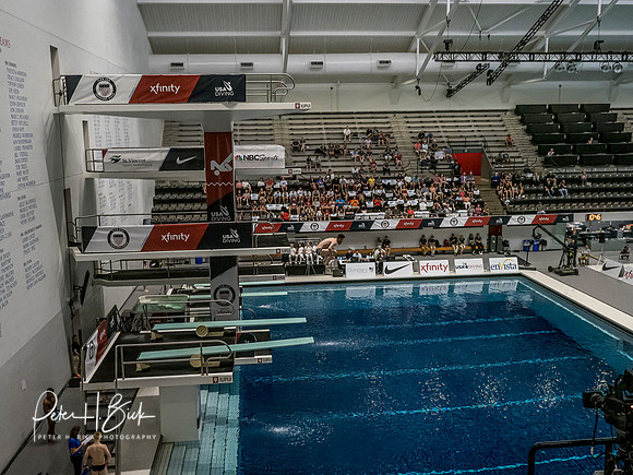 david-boudia-2019 Sr. Nats. 2029