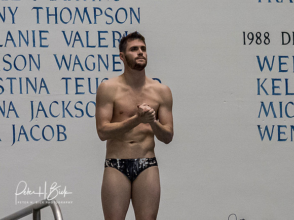 david-boudia-2019 Sr. Nats. 2121