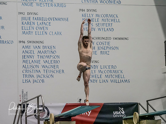 david-boudia-2019 Sr. Nats. 2124