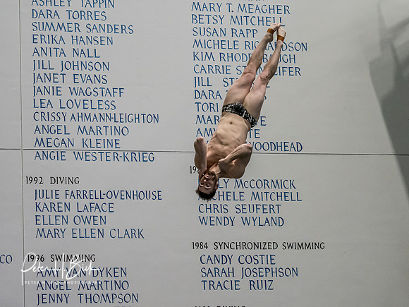 david-boudia-2019 Sr. Nats. 2133