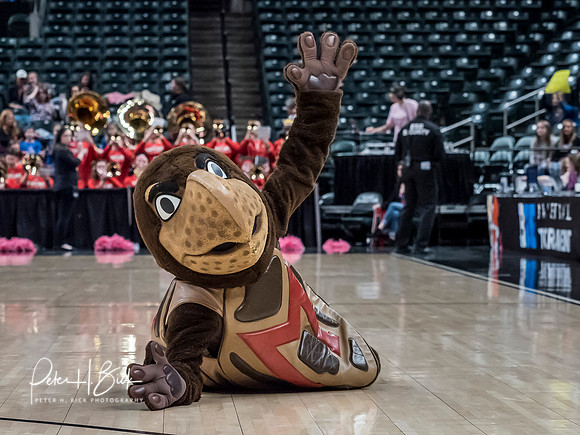 2019 BigTen Women's BBall 5292