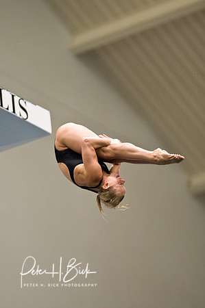 2008 Diving Trials 009