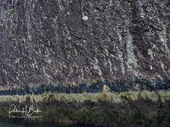 Alaska 2019 0266