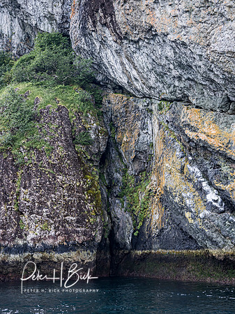 Alaska 2019 0282