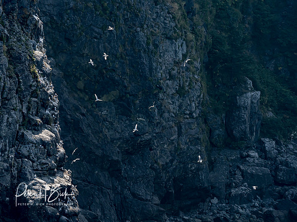 Alaska 2019 0313