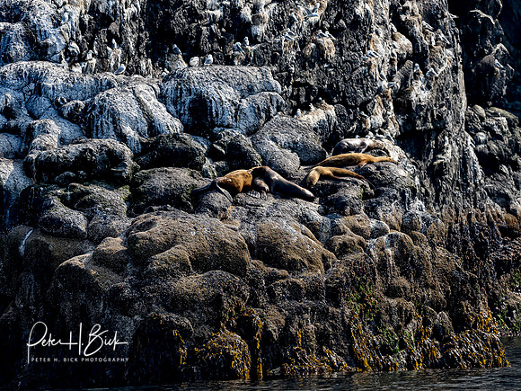 Alaska 2019 0332