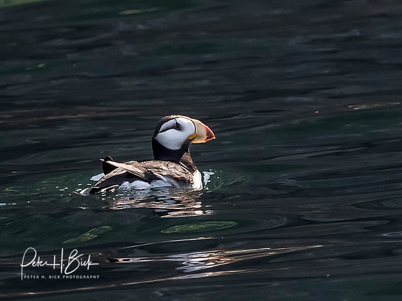 Alaska 2019 0351