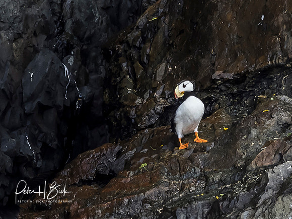 Alaska 2019 0362