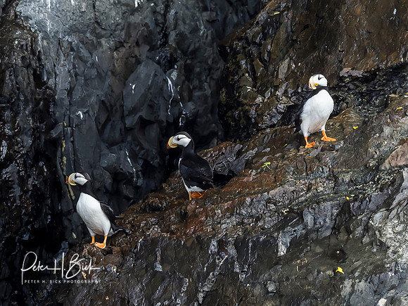 Alaska 2019 0369