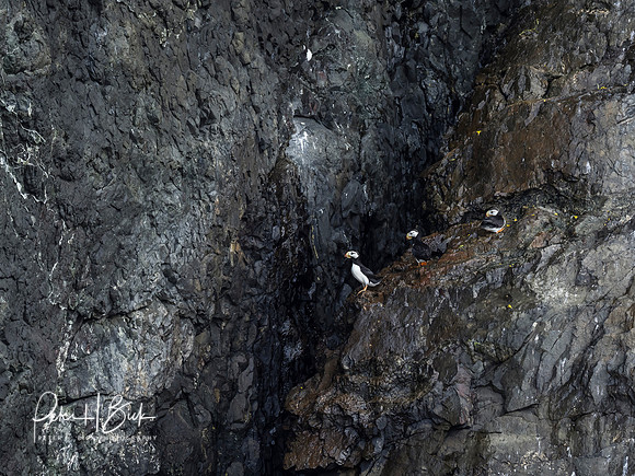 Alaska 2019 0376