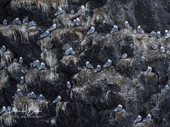 Alaska 2019 0384