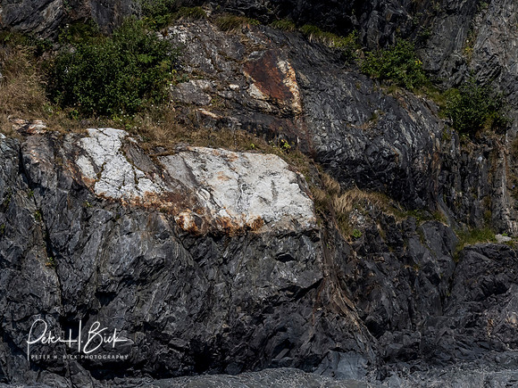 Alaska 2019 0821