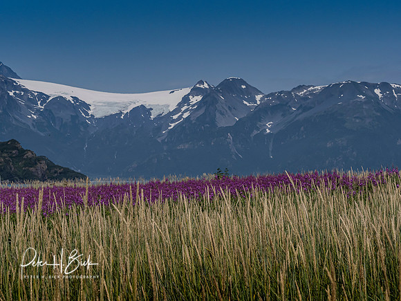 Alaska 2019 0878