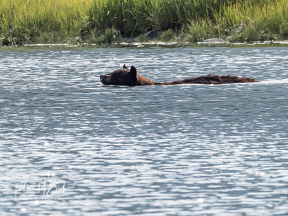 Alaska 2019 1034