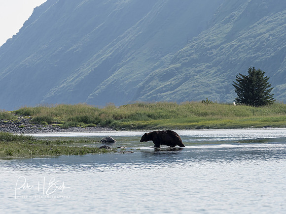 Alaska 2019 1046
