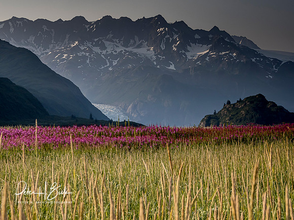 Alaska 2019 1066