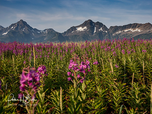 Alaska 2019 1079