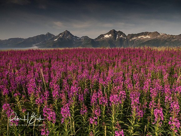 Alaska 2019 1099