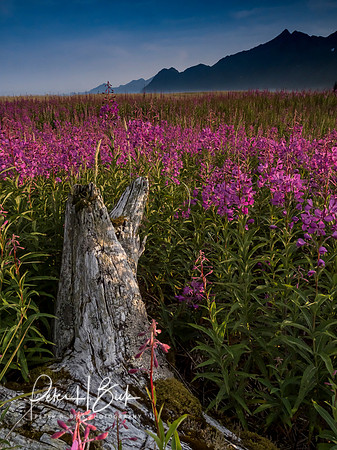 Alaska 2019 1107