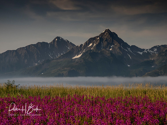 Alaska 2019 1152