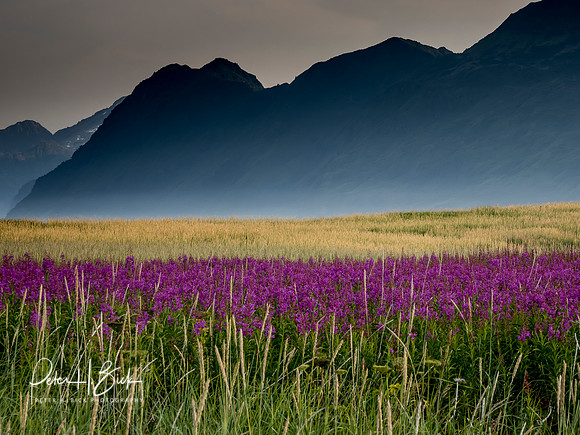 Alaska 2019 1203