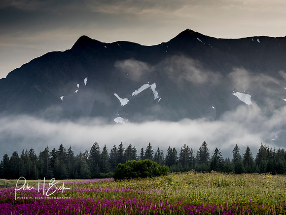 Alaska 2019 1207