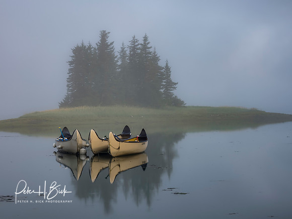 Alaska 2019 1228