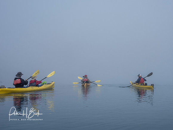 Alaska 2019 1250