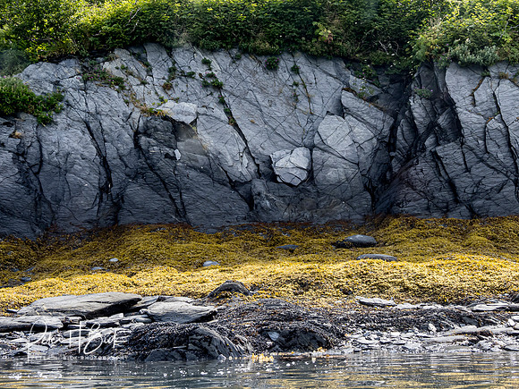 Alaska 2019 1369