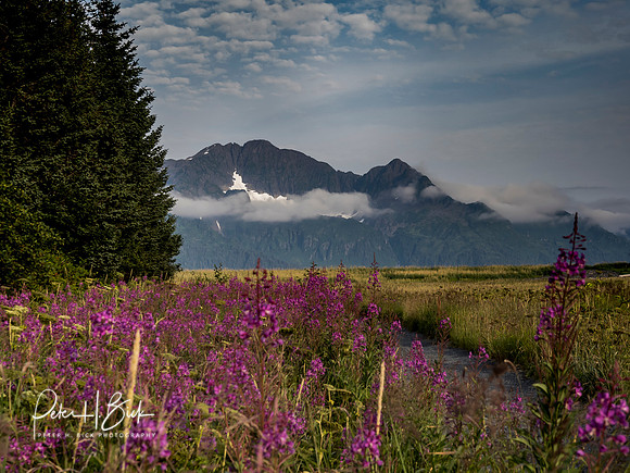 Alaska 2019 1482