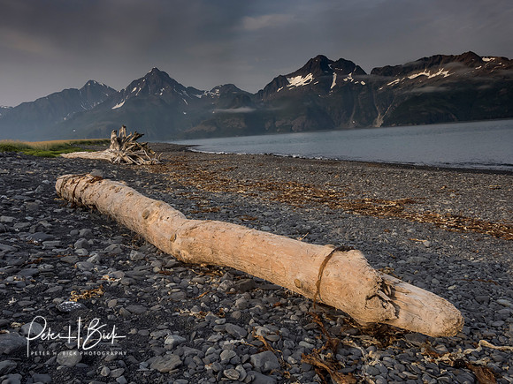 Alaska 2019 1574