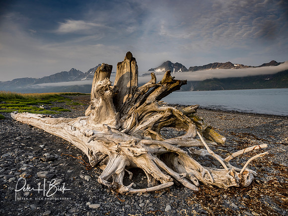 Alaska 2019 1606