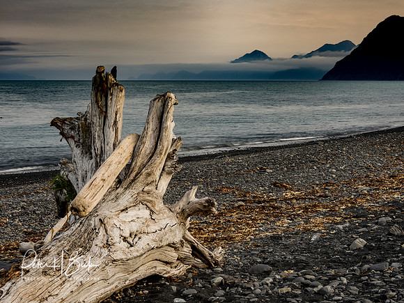 Alaska 2019 1628