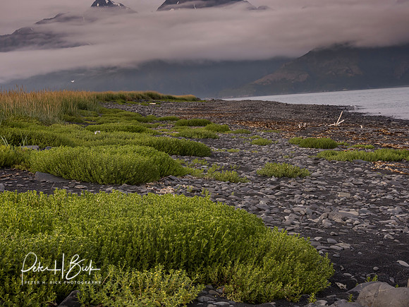 Alaska 2019 1632