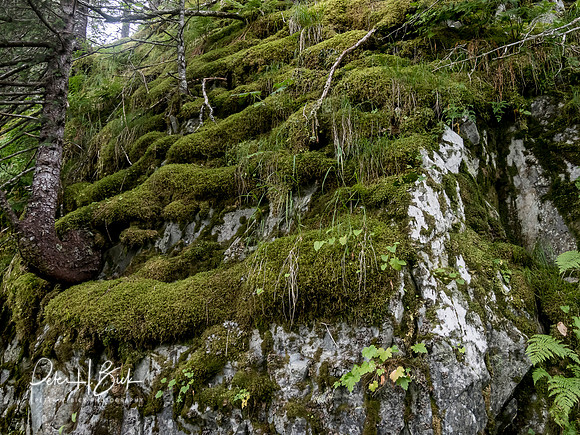 Alaska 2019 1798