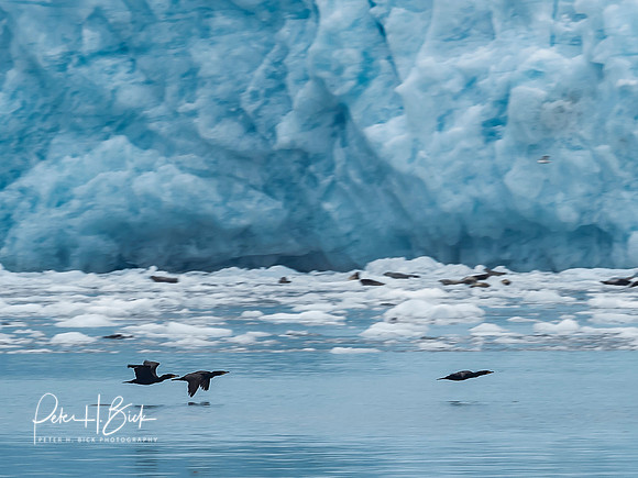 Alaska 2019 1962