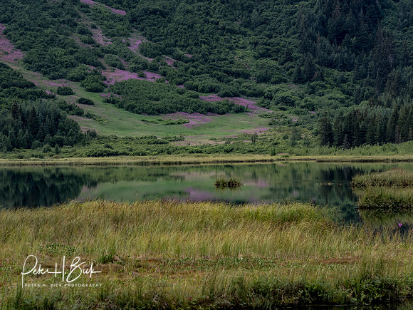 Alaska 2019 2883
