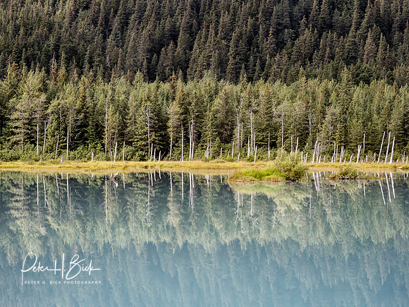 Alaska 2019 2942