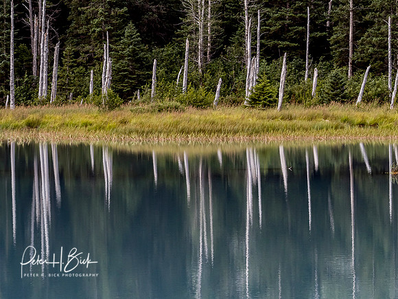 Alaska 2019 3008