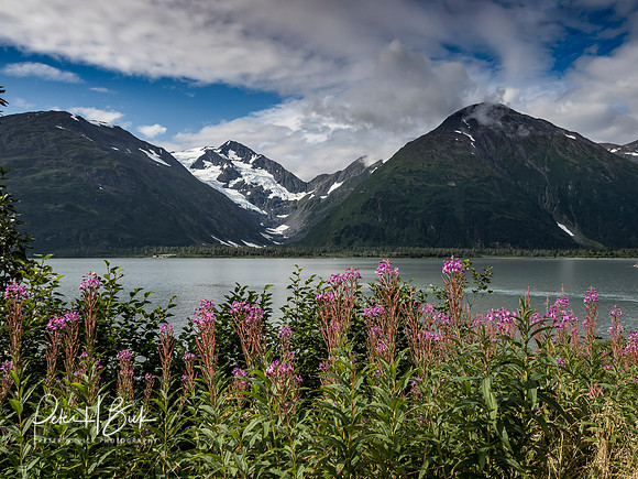 Alaska 2019 3038
