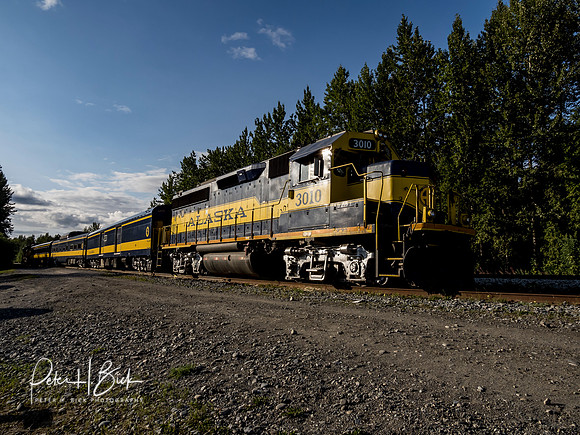 Alaska 2019 3652