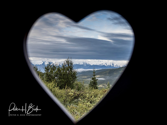 Alaska 2019 4491